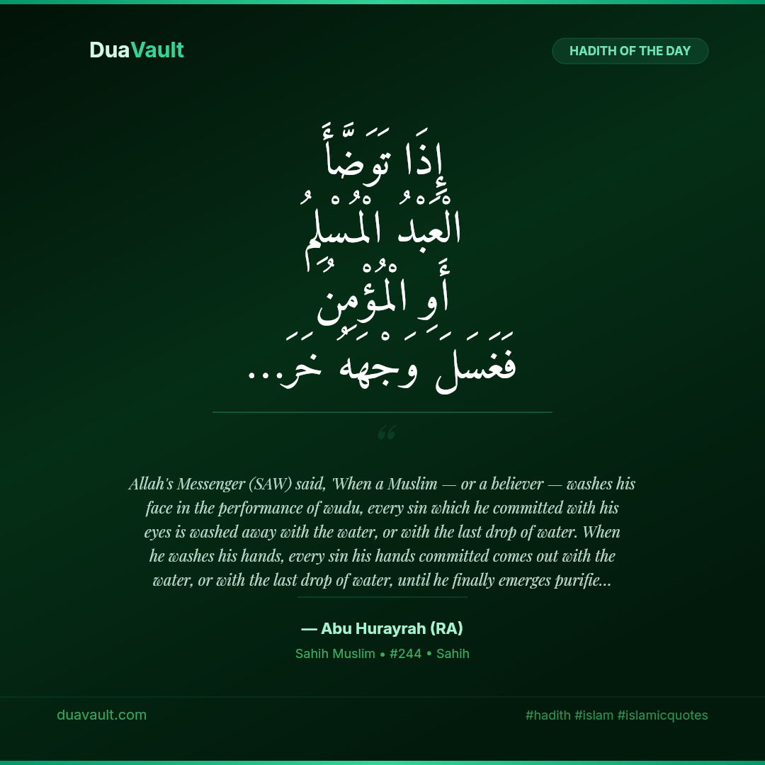 Every Drop of Wudu Carries Away a Sin – hadith in Arabic with English translation, Sahih Muslim 244